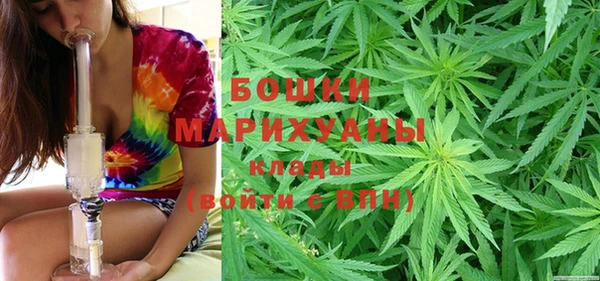 индика Краснотурьинск