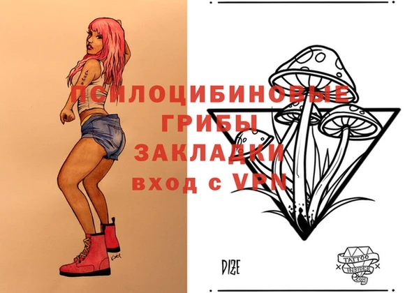 spice Кодинск