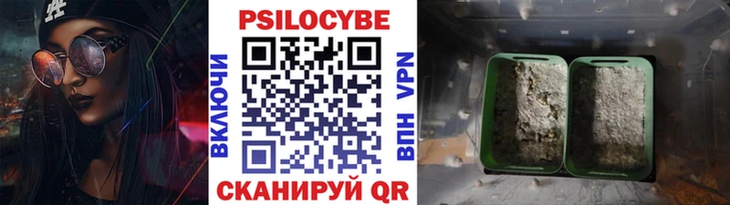 Псилоцибиновые грибы MAGIC MUSHROOMS  где купить   маркетплейс наркотические препараты  Владивосток  блэк спрут ССЫЛКА 